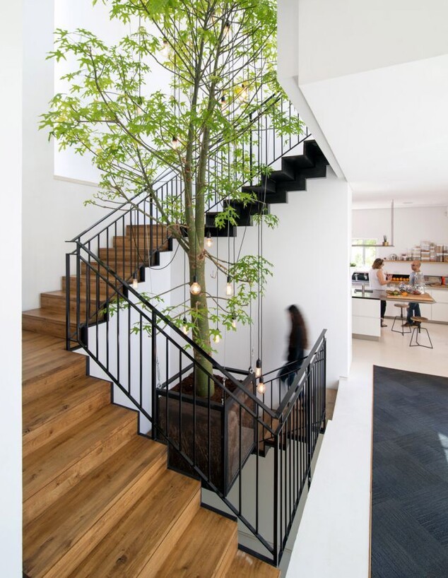 עץ בתוך הבית ג עיצוב סטודיו ליאת מרום אדריכלות נוף דקל סידס  (צילום: אילן נחום)