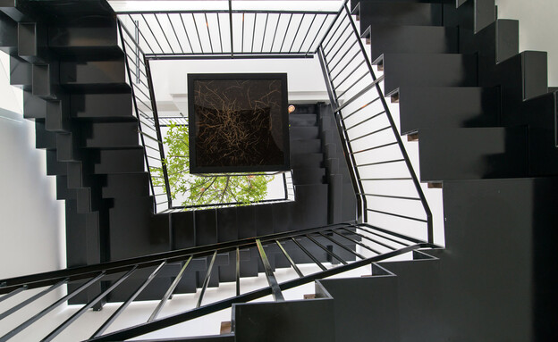 עץ בתוך הבית עיצוב סטודיו ליאת מרום אדריכלות נוף דקל סידס  (צילום: אילן נחום)