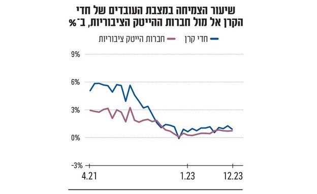 שיעור הצמיחה מול חברות ציבוריות (אינפוגרפיקה: גלובס)