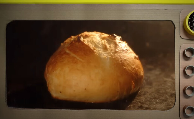 לחם בשקית, מכון דוידסון (צילום: צילום מסך מיוטיוב)