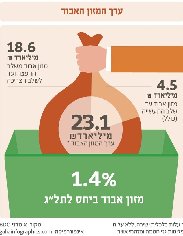 אינפוגרפיקה אובדן מזון (צילום: לקט ישראל)
