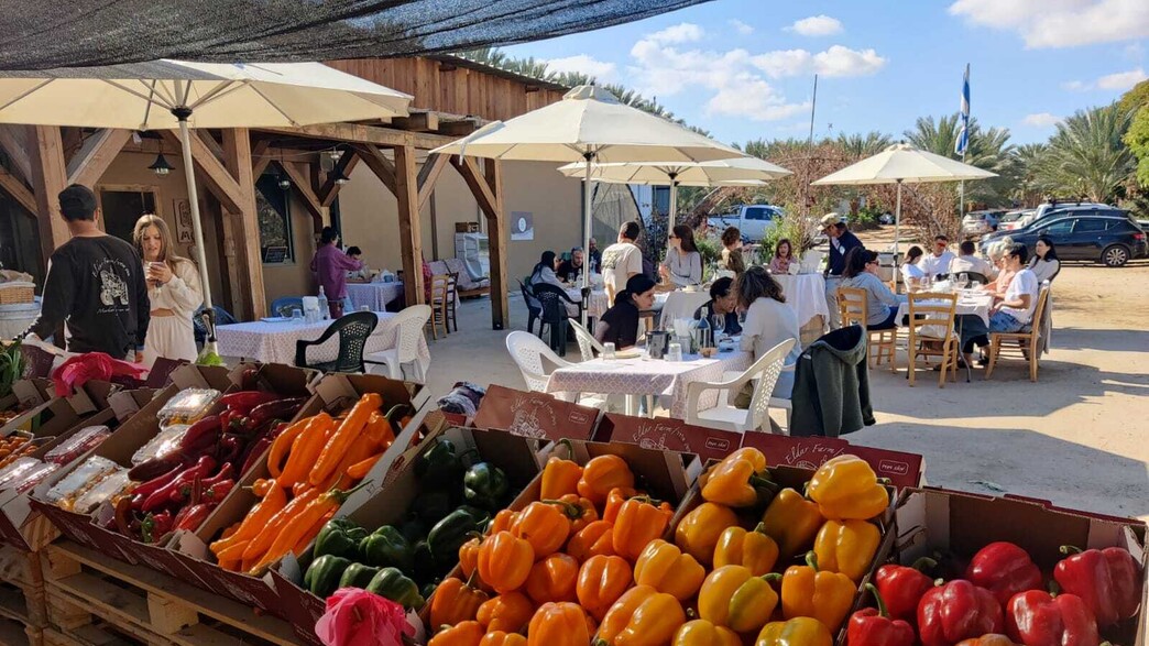 יקב מואה יקב מואה
