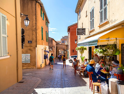 משרד הבריאות הצרפתי באזהרה למטיילים: חשש מהתפשטות "נמלת האש" במוקדי התיירות