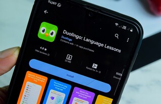 Duolingo, דואולינגו (צילום: bangoland, shutterstock)
