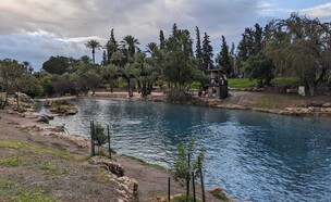 הסחנה בחורף (צילום: אילן ארנון)