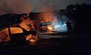 זירת השריפה בלוד (צילום: כבאות והצלה)