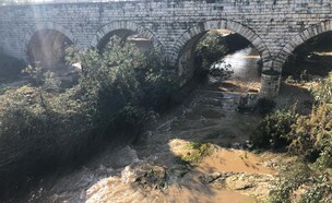 פארק נחל הקישון בחורף (צילום: מירב טלמור-קשי)