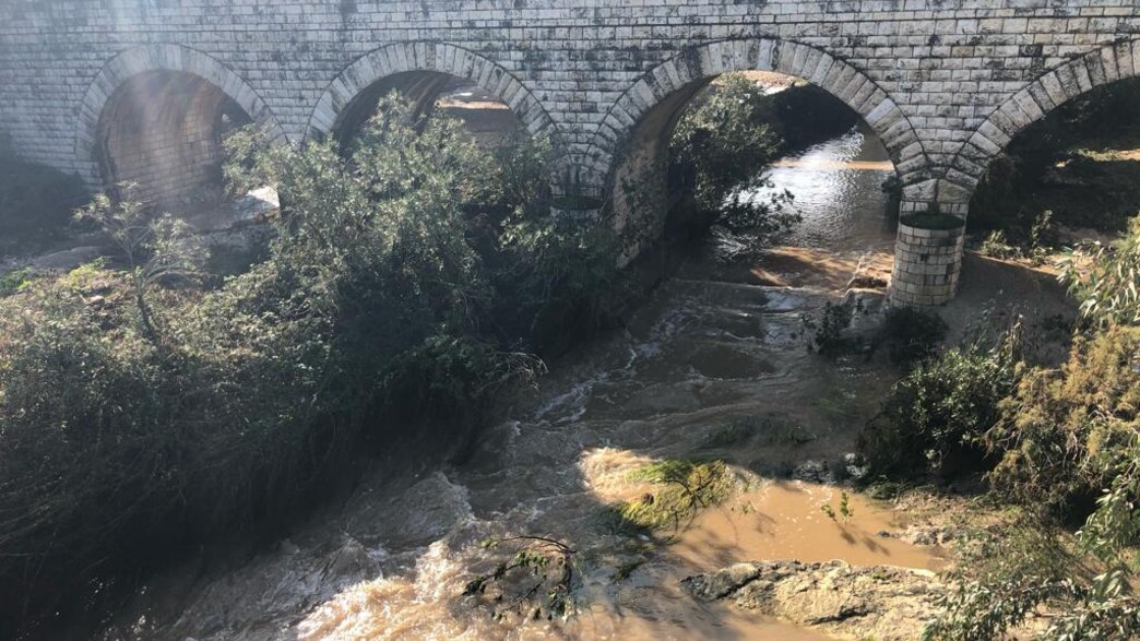 פארק נחל הקישון בחורף פארק נחל הקישון בחורף