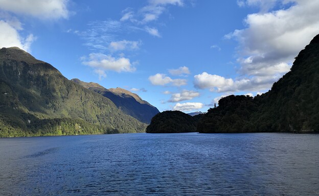 ניו זילנד  (צילום: ניצן אנגלנדר)
