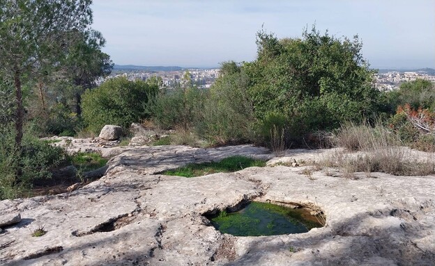 שלוליות עונתיות על משטחי הסלע בירידה על השביל השחור (צילום: איציק בן דב, החברה להגנת הטבע )