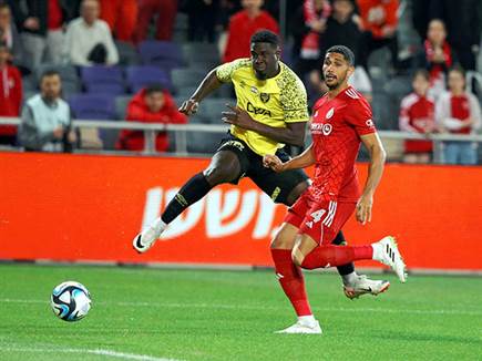 אך ההזדמנויות לא נוצלו (אלן שיבר)