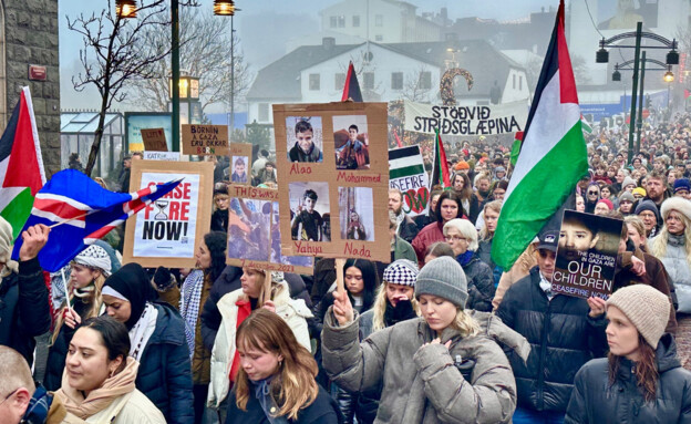 איסלנד הפגנה פרו פלסטינית (צילום: מתוך הרשתות החברתיות לפי סעיף 27א' לחוק זכויות יוצרים, Facebook)