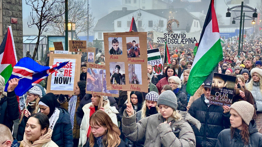 איסלנד הפגנה פרו פלסטינית (צילום: מתוך הרשתות החברתיות לפי סעיף 27א' לחוק זכויות יוצרים, Facebook)