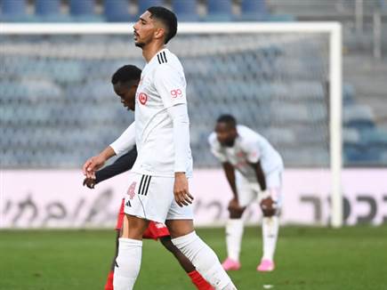 (ברני ארדוב)