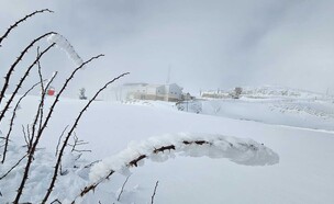 שלג בחרמון ינואר 2024 (צילום: רפאל נוה)