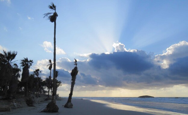 חוף מעגן מיכאל (צילום: איליה בסקין, רשות הטבע והגנים)