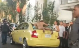 גבר צנח עירום מעץ - ונחת על מונית חולפת  (צילום: מתוך הרשתות החברתיות לפי סעיף 27א' לחוק זכויות יוצרים)