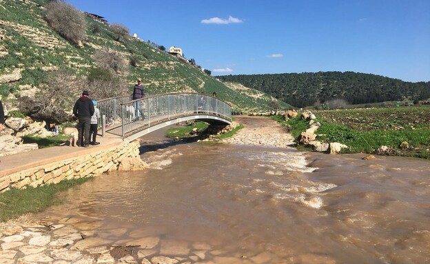 טיילת נחל ציפורי (צילום: מירב טלמור-קשי)