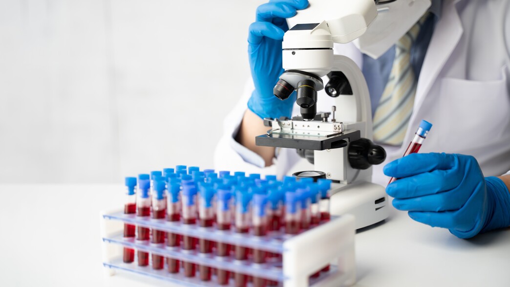 המטולוגיה המטולוגיה