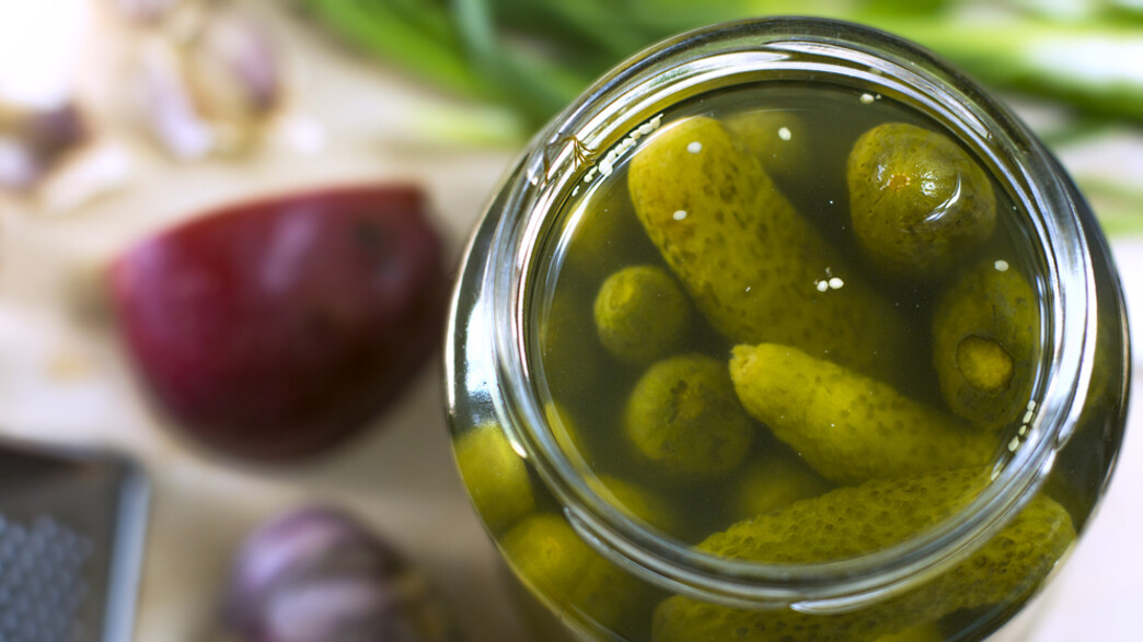 מלפפונים חמוצים בצנצנת מלפפונים חמוצים בצנצנת