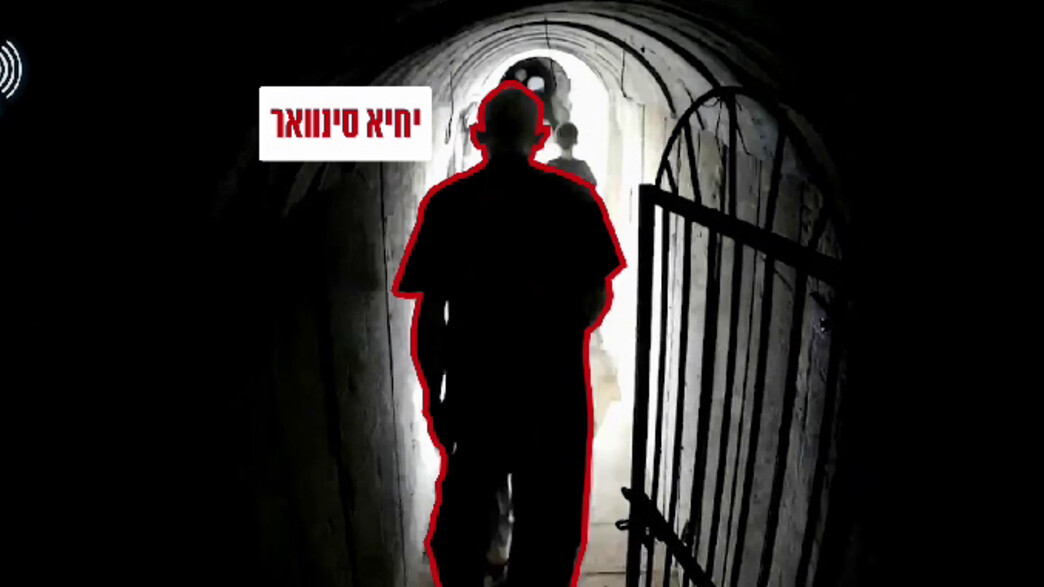 תיעוד של סינוואר