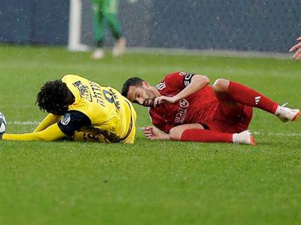 לא מצאו את השער (אלן שיבר)