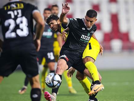 (מאור אלקסלסי)