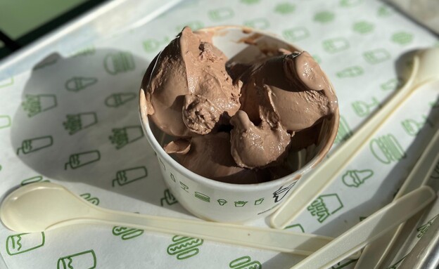 גלידת שאק שוקולד. מצוינת (צילום: ניצן לנגר, mako אוכל)