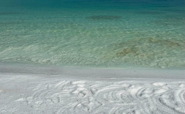 חוף הפנינים בים המלח (צילום: ארז דגן)