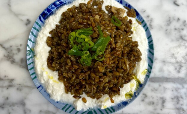 פריקה על יוגורט. קל וטעים פריקה על יוגורט. קל וטעים