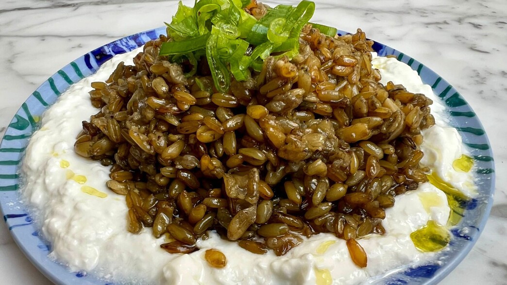 מתכון פריקה בסיסי מתכון פריקה בסיסי