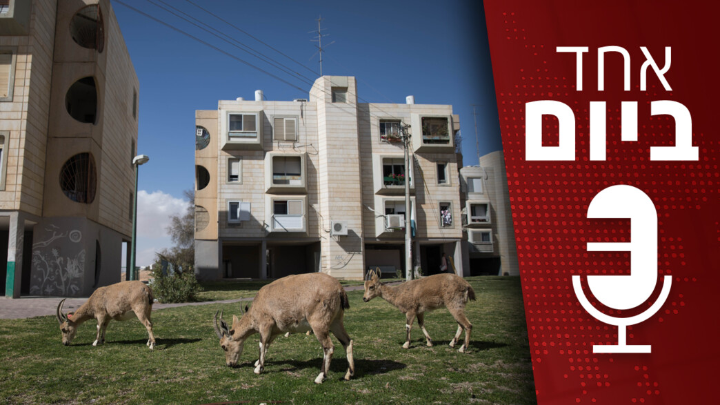 אחד ביום - 06.03.2024