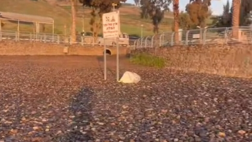 הכנרת לפני מספר חודשים הכנרת לפני מספר חודשים