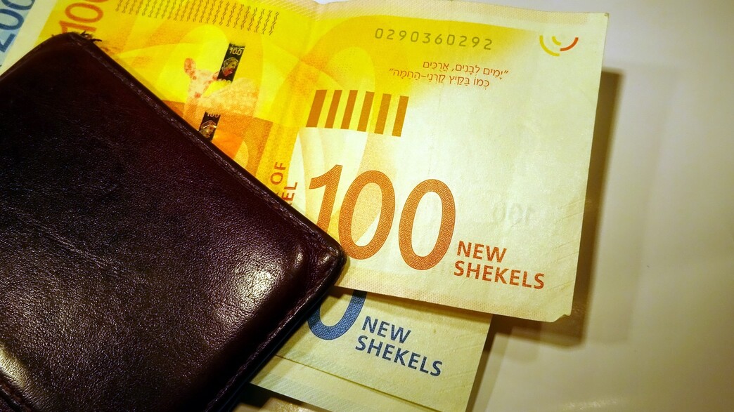 ארנק עם כסף (צילום: Zilan2000, shutterstock)