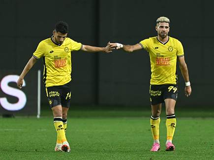 (ברני ארדוב)