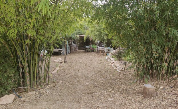 גן הבמבוקים (צילום: אורלי גנוסר)