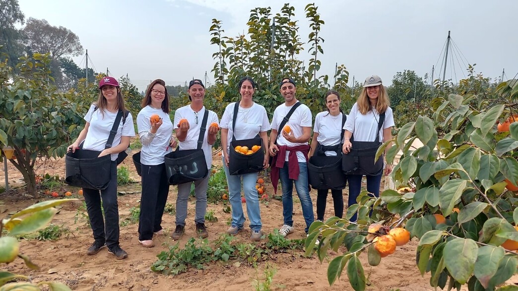 ישראכרט עיגול לטובה - קטיף