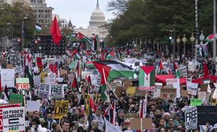 הפגנות פרו פלסטיניות בארה״ב (צילום: ap)