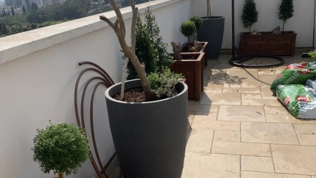 גינה על הגג לפני גינה על הגג לפני