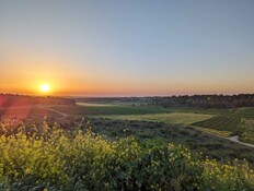 מטה יהודה (צילום: אילן ארנון)