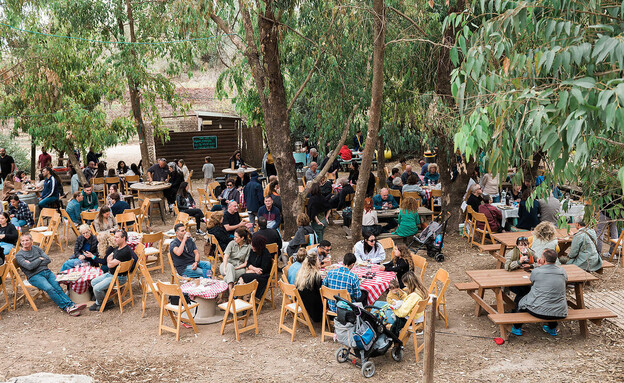 יריד זמן יין (צילום: מורן קורן גודמן)