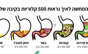 איך נראות 500 קלוריות (צילום: ארגון רופאים לתזונה)