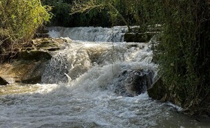 נחל השופט (צילום: מירב טלמור-קשי)