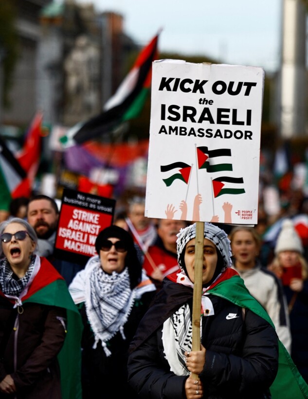 פרו-פלסטינים נגד השגרירה הישראלית באירלנד (צילום: רויטרס)