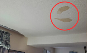 למה יש לי כתמים חומים בתקרה? (צילום: מתוך הרשתות החברתיות לפי סעיף 27א׳ לחוק זכויות יוצרים)