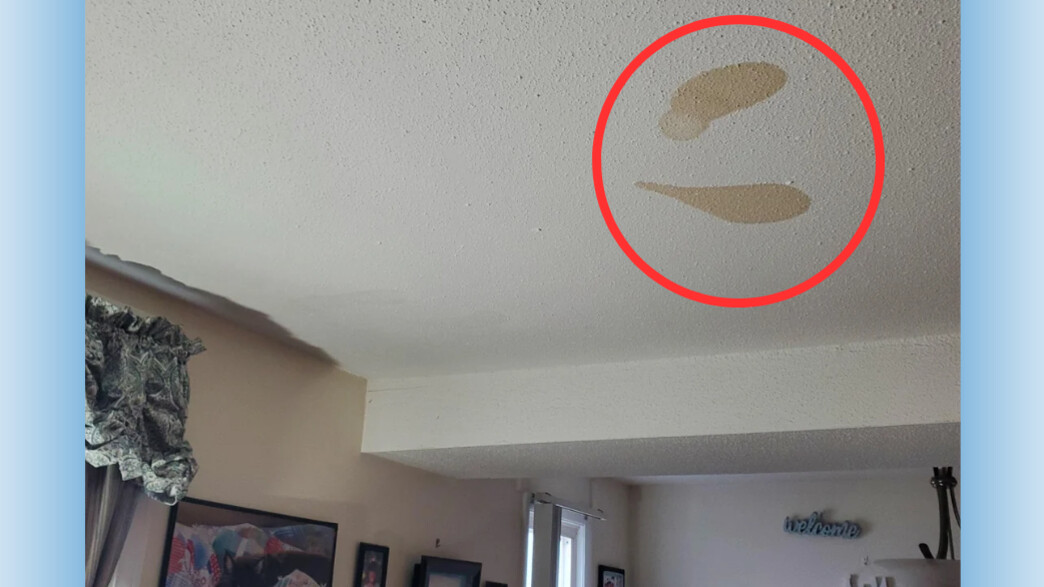 למה יש לי כתמים חומים בתקרה? (צילום: מתוך הרשתות החברתיות לפי סעיף 27א׳ לחוק זכויות יוצרים)