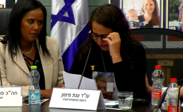שרון אלוני קוניו בוועדה לקידום מעמד האישה  (צילום: ערוץ הכנסת)