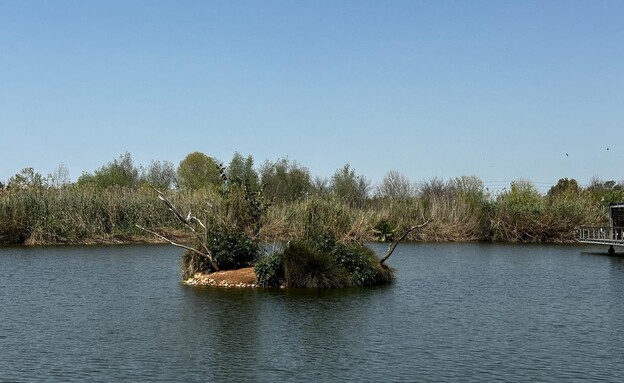 אגם פארק האקולוגי הוד השרון (צילום: מירב טלמור-קשי)