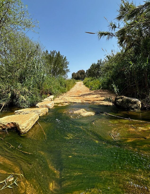 מים הפארק האקולוגי הוד השרון (צילום: מירב טלמור-קשי)
