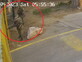המשחק שבו אפשר "לרצוח חיילים ישראלים כמו ב-7.10" מופיע באתר ענקית הגיימינג